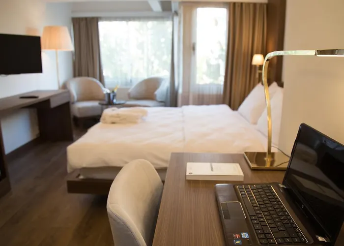 Tn&co Exclusive Cip And Primeclass (adults Only) 3* 무글라