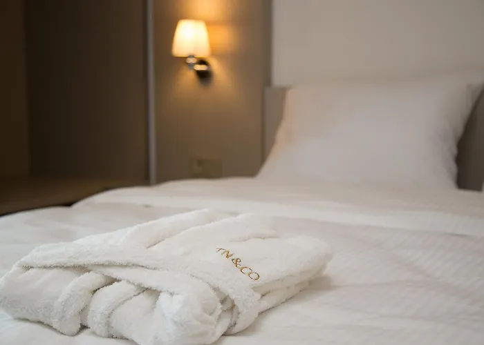 Tn&co Exclusive Cip And Primeclass (adults Only) 3* 무글라