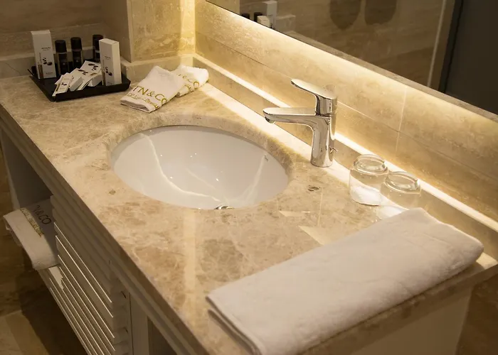 Tn&co Exclusive Cip And Primeclass (adults Only) 3* 무글라