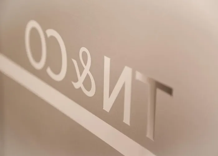 Tn&co Exclusive Cip And Primeclass (adults Only) 3*