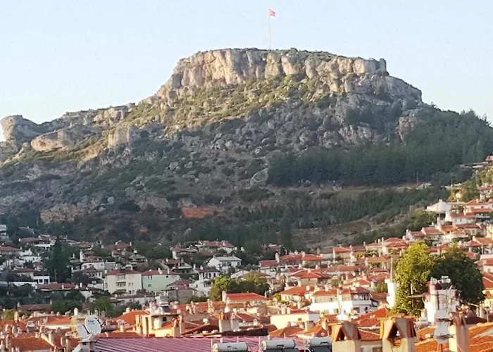 Tn&co Exclusive Cip And Primeclass (adults Only) 무글라