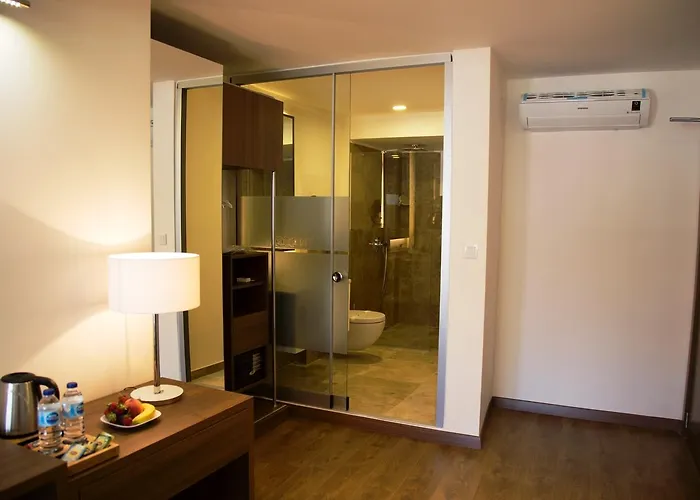 Tn&co Exclusive Cip And Primeclass (adults Only) 무글라