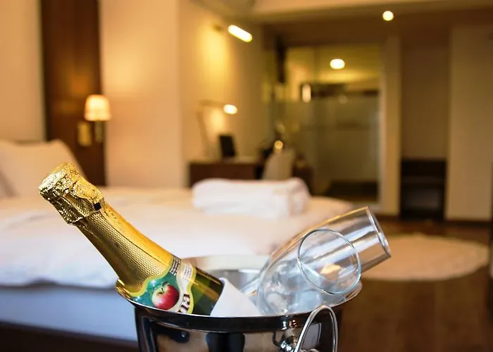 Tn&co Exclusive Cip And Primeclass (adults Only)